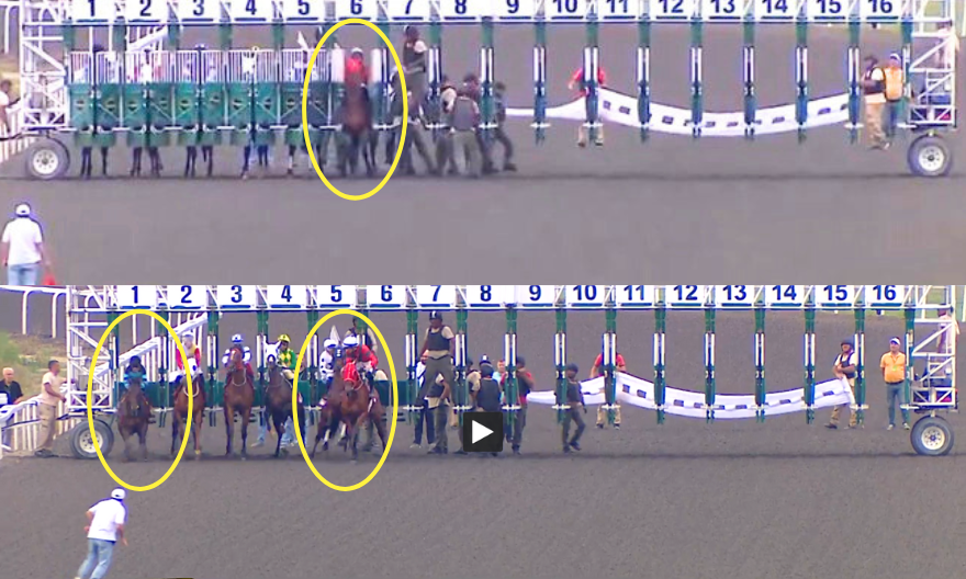 Startta Kriz, Sosyal Medyada Tepki; Erken Açılan Kapak Koşuya Damga Vurdu! Startta Kriz, Sosyal Medyada Tepki; Erken Açılan Kapak Koşuya Damga Vurdu!