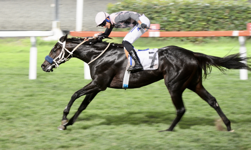 Battle For Glory – İstanbul’daki ilk Grup zaferi! Salih Çelik’le 5’te 4!