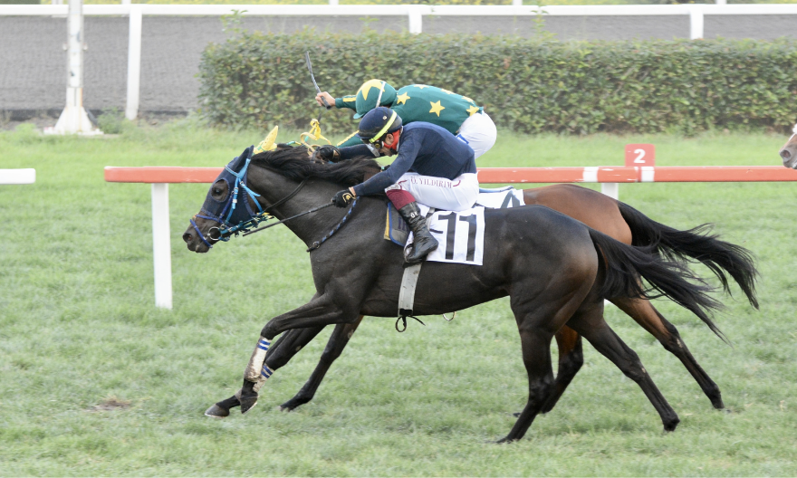 Müthiş kapışmada kazanan BEAUTY OF DARKNESS…