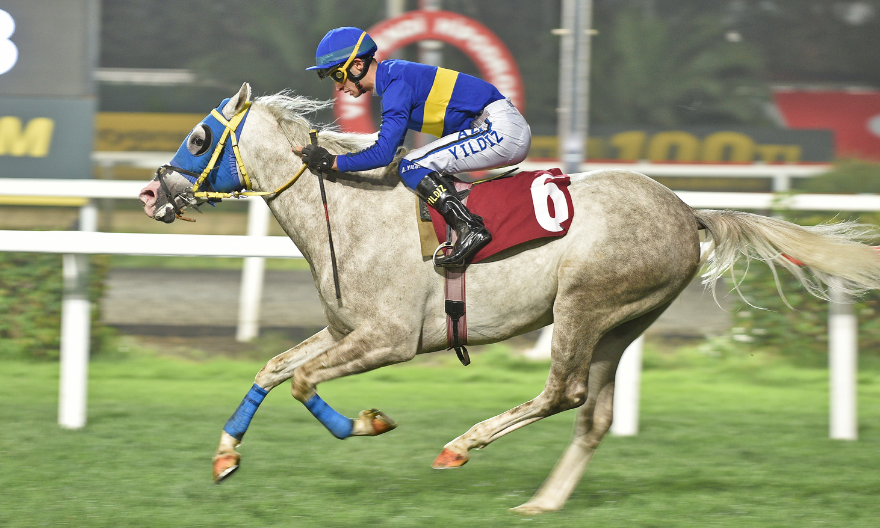 Şenalptuğ – Gürkan H. Oker Koşusu’nda Anlamlı Galibiyet!