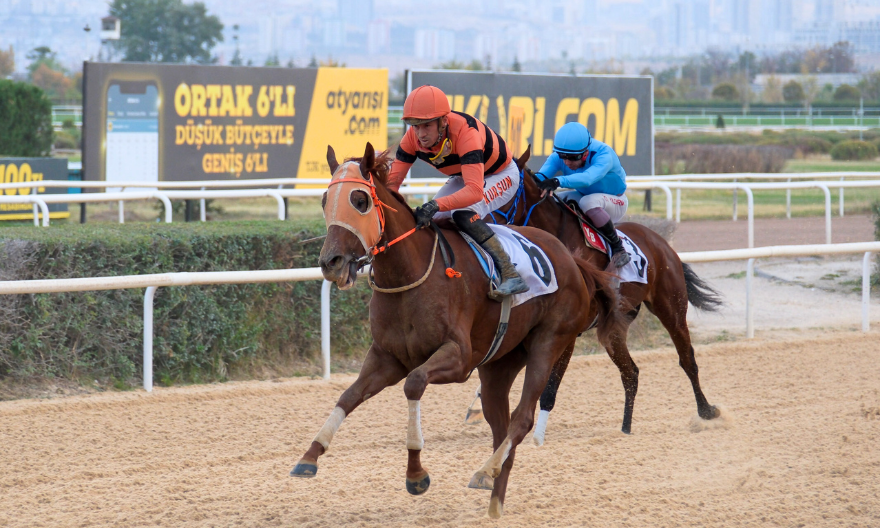 Kapadokya’nın yeni kraliçesi: Shinny!