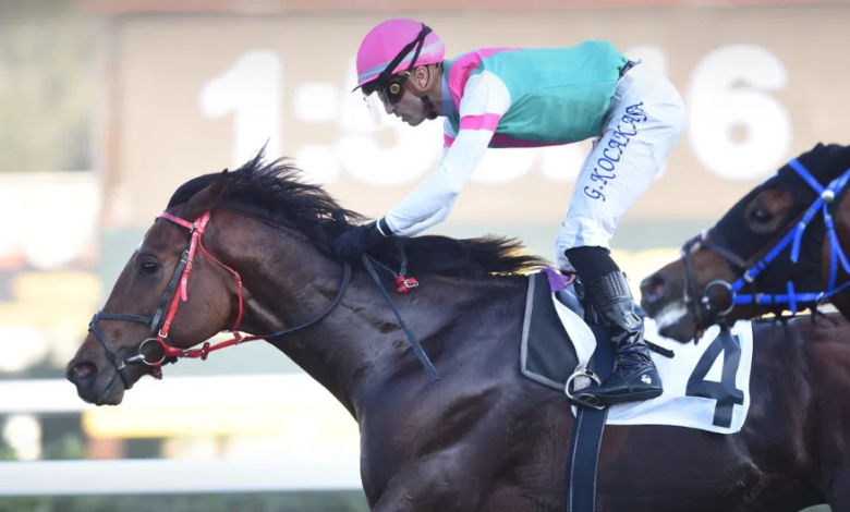 Build Your Dreams, Sakarya Koşusu’nu Kazandı Build Your Dreams, Sakarya Koşusu’nu Kazandı