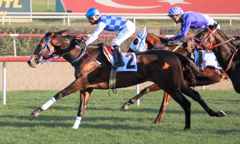 Ankara Sezonunun Kapanış Kupası’nı Diluvio Kazandı Ankara Sezonunun Kapanış Kupası’nı Diluvio Kazandı