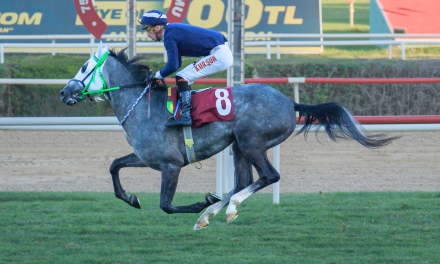 Hopdedik, Necip Fazıl Kısakürek Koşusunda Birinci Oldu