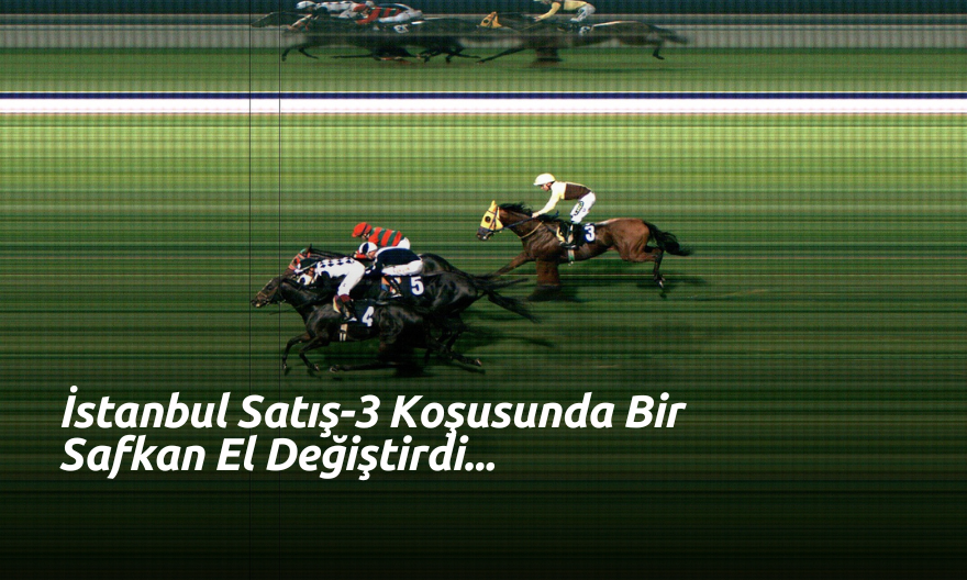 İstanbul’da Satış-3 Koşusunda Bir Safkan El Değiştirdi!