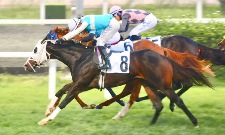 Tulumar, G3 Atıf Esenbel Koşusunu Kazandı Tulumar, G3 Atıf Esenbel Koşusunu Kazandı