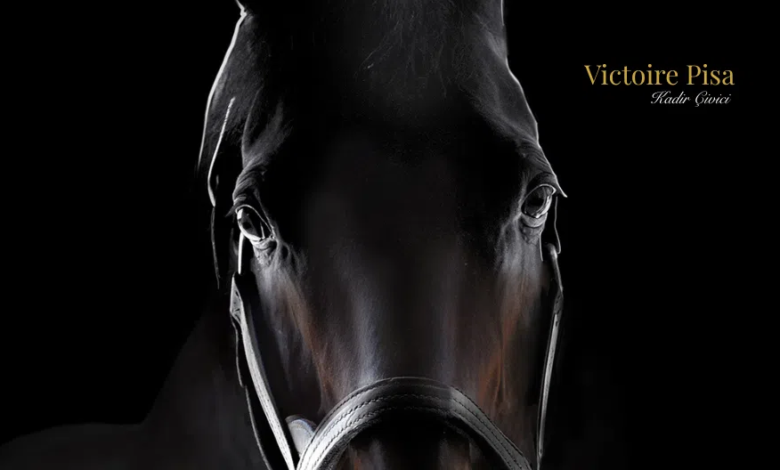 TJK, 2026 Aşım Sezonu Aygır Ücretlerini Duyurdu